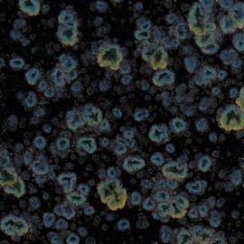 Obsidian - 16 oz Mayco Jungle Gem Crystal Glaze